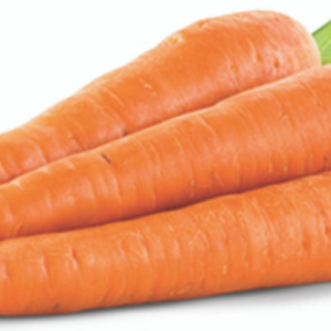 CARROTS