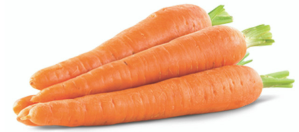 CARROTS